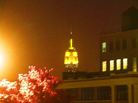 NY-Tribeca_Rooftop_16-Skyline.JPG