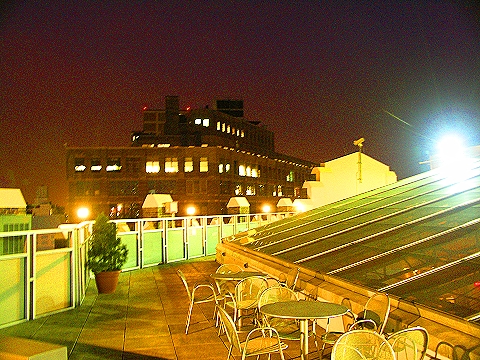 NY-Tribeca_Rooftop_17-Skyline.JPG