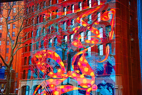 NY-Tribeca-Windows_on_Duane_St-03.JPG