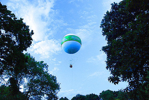 NY-Twilght-Central_Park-Balloon- (4).JPG