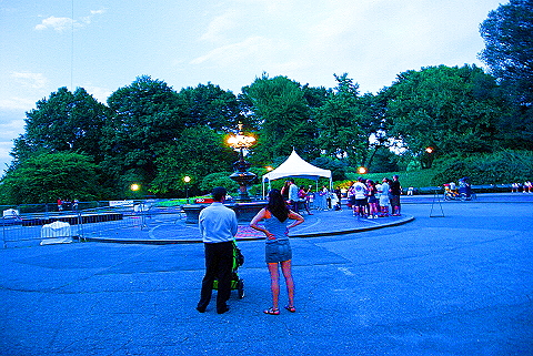 NY-Twilght-Central_Park-Balloon- (6).JPG