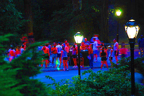 NY-Twilght-Central_Park-Runners- (2).JPG