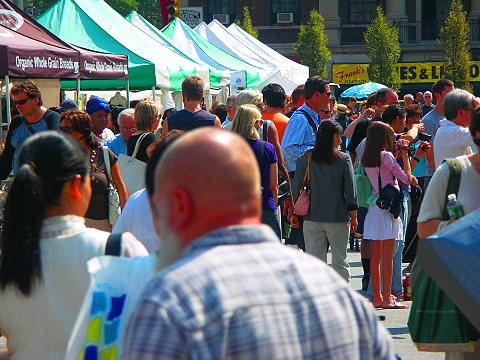 NY-Union_Square10.jpg