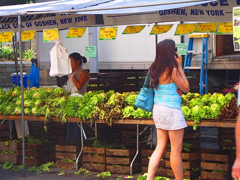 NY-Union_Square_Greenmarket-Farmers_Market-09.JPG