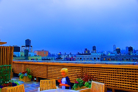 NY-Upper_Westside_Roof_Top_Views-08.JPG