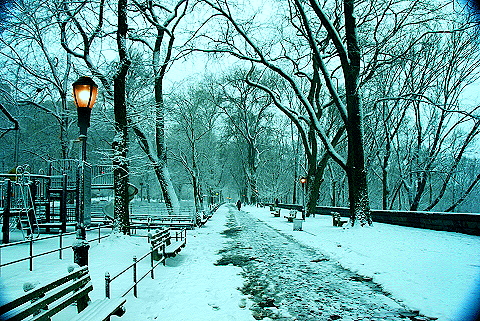 NY-Upper_Westside_Snow_Storm-06-Riverside_Park.JPG