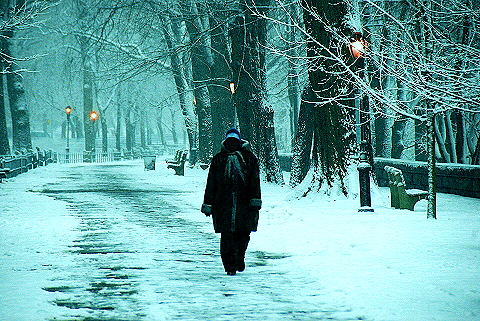 NY-Upper_Westside_Snow_Storm-07-Riverside_Park.JPG