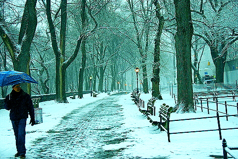 NY-Upper_Westside_Snow_Storm-09-Riverside_Park.JPG