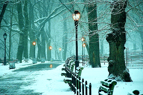 NY-Upper_Westside_Snow_Storm-10-Riverside_Park.JPG