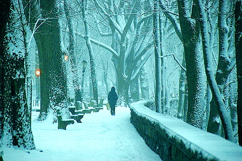 NY-Upper_Westside_Snow_Storm-13-Riverside_Park.JPG