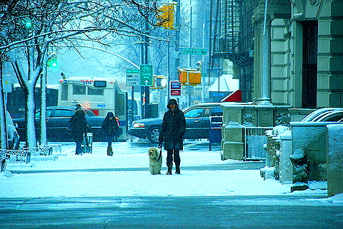 NY-Upper_Westside_Snow_Storm-22.JPG