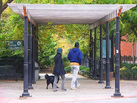 NY-Washington_Market_Park-Fall_Colors-1.JPG