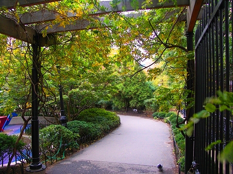 NY-Washington_Market_Park-Fall_Colors-3.JPG