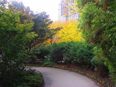 NY-Washington_Market_Park-Fall_Colors-4.JPG
