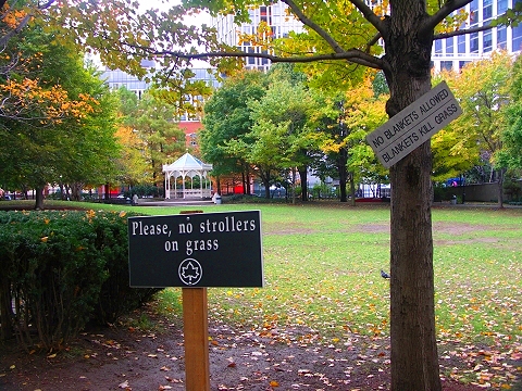 NY-Washington_Market_Park-Fall_Colors-5.JPG