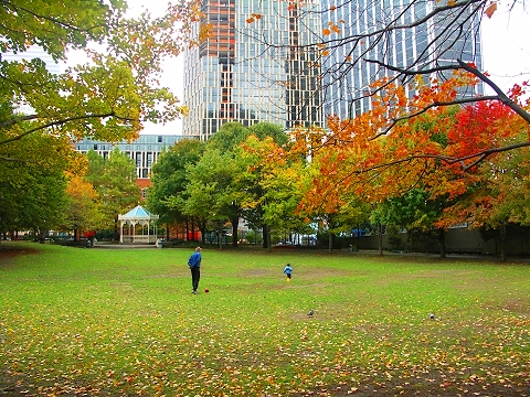 NY-Washington_Market_Park-Fall_Colors-6.JPG