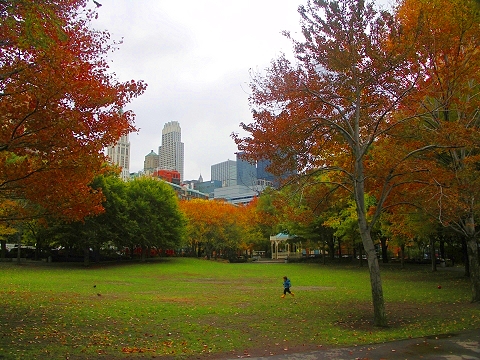 NY-Washington_Market_Park-Fall_Colors-7.JPG