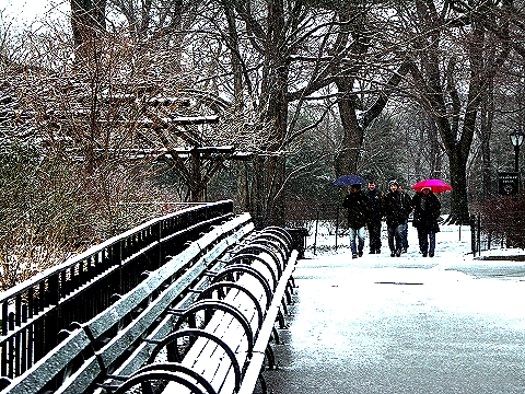 NY-West_72_nd_and_Central_Park-Late_Winter_Storm-March-16-2007_01.jpg
