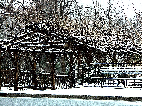 NY-West_72nd_and_Central_Park-Late_Winter_Storm-March-16-2007_02.jpg