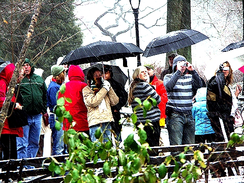 NY-West_72nd_and_Central_Park-Late_Winter_Storm-March-16-2007_08.jpg