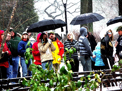 NY-West_72nd_and_Central_Park-Late_Winter_Storm-March-16-2007_09.jpg