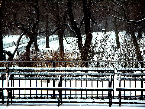 NY-West_72nd_and_Central_Park-Late_Winter_Storm-March-16-2007_11.jpg