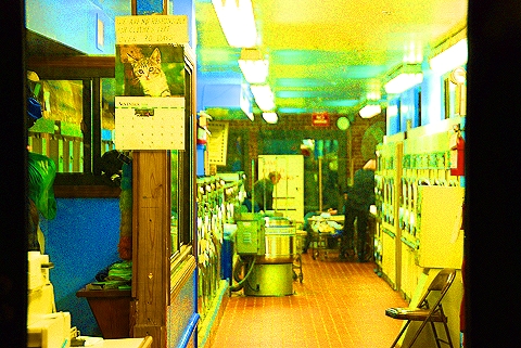 NY-West_72nd_and_Columbus-storefronts-windows-19.JPG