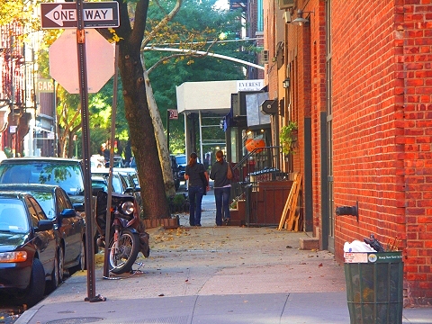 NY-West_Greenwich_Village-Storefronts_and_Signs-17.JPG