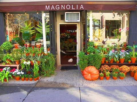 NY-West_Greenwich_Village-Storefronts_and_Signs-26.JPG