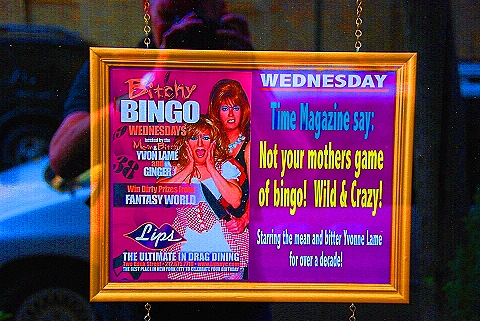 NY-West_Village-People_Windows_Signs-09Lips_Karoake2.JPG