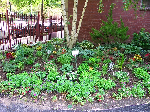 NY-Westside_Community_Garden-89th_and_Amsterdam-04.JPG