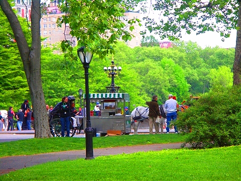 NY-When_In_Rome-Disney_movie_shooting_in_Central_Park-011408.JPG