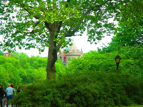 NY-When_In_Rome-Disney_movie_shooting_in_Central_Park-011409.JPG
