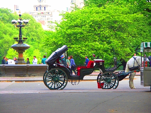 NY-When_In_Rome-Disney_movie_shooting_in_Central_Park-011410.JPG