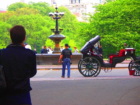 NY-When_In_Rome-Disney_movie_shooting_in_Central_Park-011412.JPG