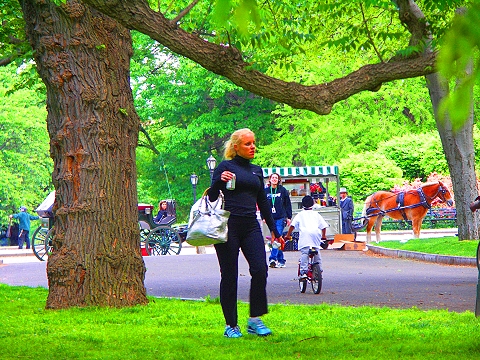 NY-When_In_Rome-Disney_movie_shooting_in_Central_Park-011413.JPG