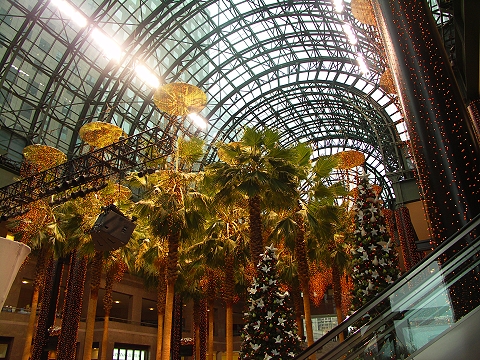 NY-Winter_Garden_in_Battery_Park-0102.JPG