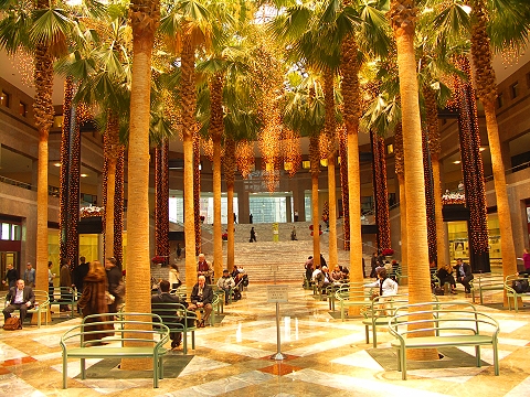 NY-Winter_Garden_in_Battery_Park-0105.JPG