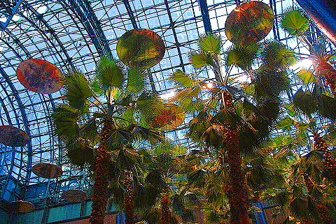 NY-Wintergarden-World_Financial_Center03.JPG