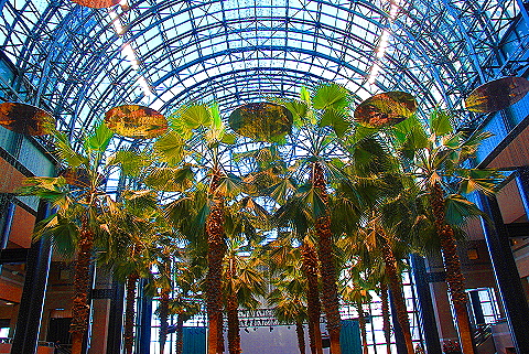 NY-Wintergarden-World_Financial_Center05.JPG