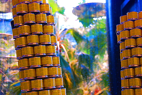 NY-Wintergarden-World_Financial_Center17-Canstruction.JPG