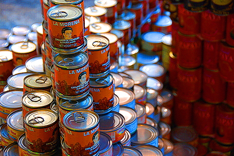 NY-Wintergarden-World_Financial_Center19-Canstruction.JPG