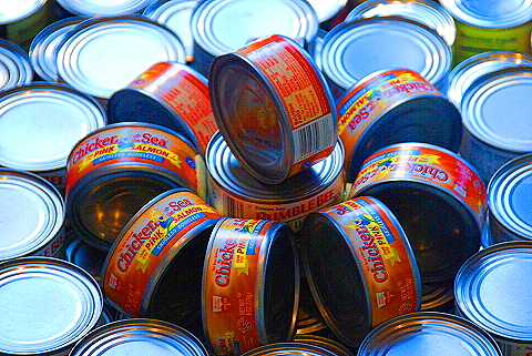 NY-Wintergarden-World_Financial_Center20-Canstruction.JPG