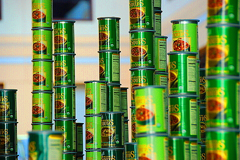 NY-Wintergarden-World_Financial_Center22-Canstruction.JPG