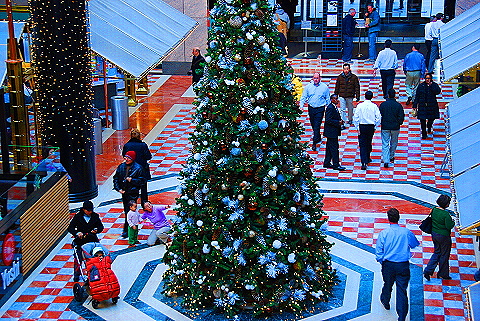 NY-Wintergarden-World_Financial_Center27-Canstruction.JPG