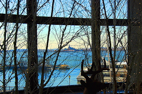 NY-Wintergarden-World_Financial_Center28.JPG