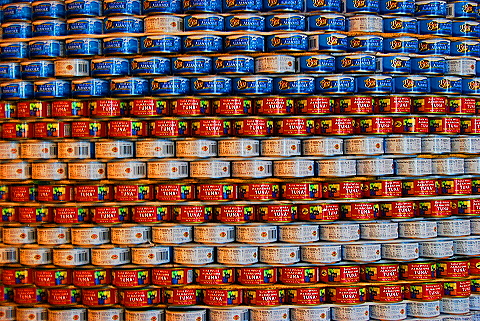NY-Wintergarden-World_Financial_Center29-Canstruction.JPG