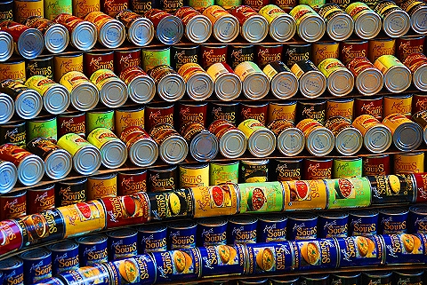 NY-Wintergarden-World_Financial_Center31-Canstruction.JPG