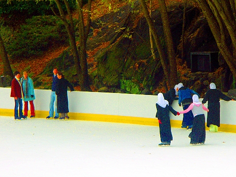 NY-Wollman_Rink-Central_Park_Ice_Skating_Christmas-04.JPG