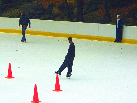 NY-Wollman_Rink-Central_Park_Ice_Skating_Christmas-07.JPG